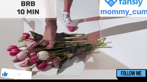 Mommy online show from January 23, 8:25 am