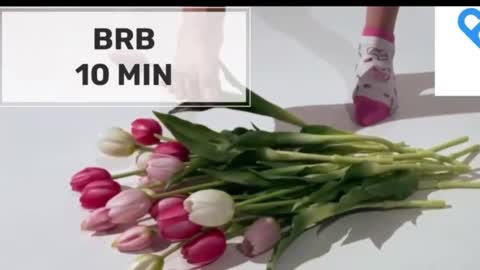 Mommy online show from October 28, 2:04 am