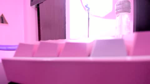 carolina online show from March 6, 11:47 am