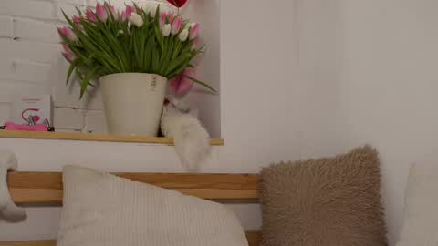 Snapshot of monicaasis chatting on March 8, 9:18 pm monicaasis online show from March 8, 9:18 pm