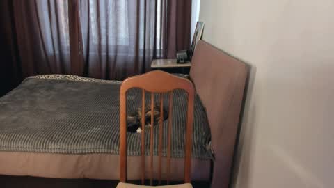 Zoe online show from April 1, 11:55 am