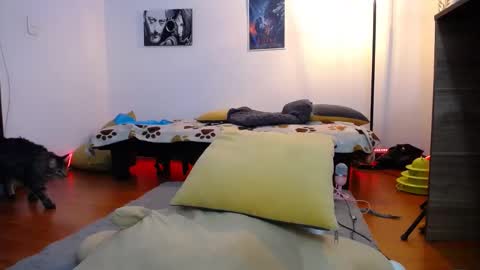 Luna online show from January 28, 2:43 am