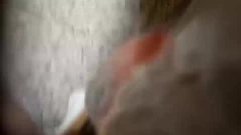 moos1 online show from September 25, 12:25 am