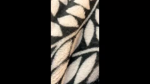 Morgan  Gina online show from March 21, 2:27 am