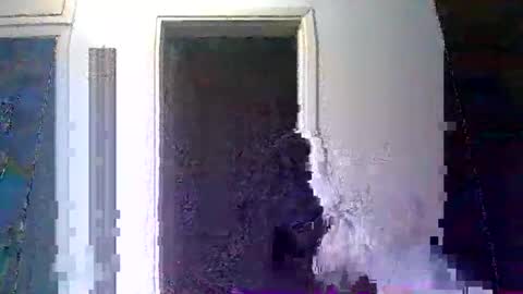 mppempis81 online show from January 10, 10:03 pm