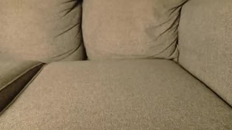 mr6ray online show from January 19, 2:26 am