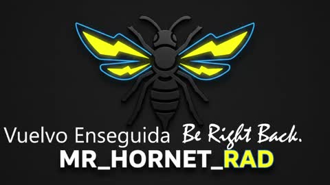 mr_hornet_rad online show from May 4, 1:18 pm
