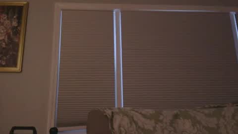 Snapshot of mrbrigggs chatting on January 7, 12:29 pm mrbrigggs online show from January 7, 12:29 pm