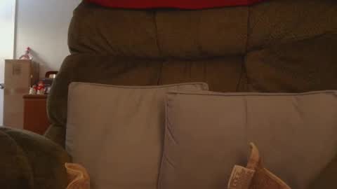 Snapshot of mrbrigggs chatting on January 9, 1:03 pm mrbrigggs online show from January 9, 1:03 pm