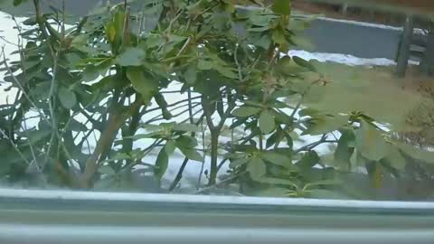 Snapshot of mrbrigggs chatting on January 14, 12:11 pm mrbrigggs online show from January 14, 12:11 pm