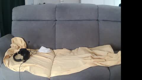 Snapshot of mreurope69 chatting on December 5, 11:07 pm I am Hardy online show from December 5, 11:07 pm