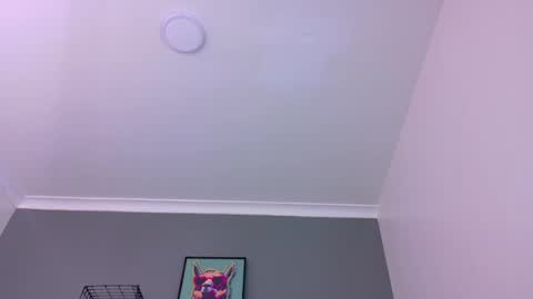 Snapshot of mrfox__ chatting on May 16, 12:07 am Mr Fox online show from May 16, 12:07 am