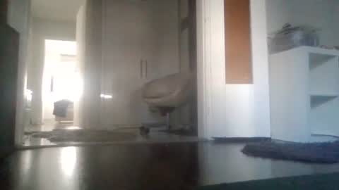 Nikola online show from March 11, 8:20 am