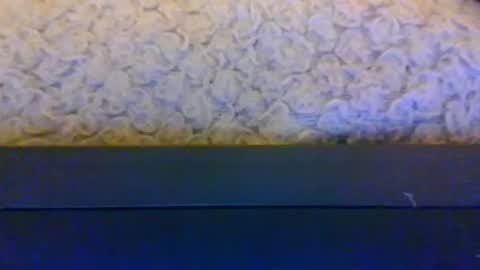 mrking8inch online show from June 26, 11:09 pm