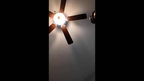 Snapshot of mrorange50187 chatting on January 12, 2:52 pm mrorange50187 online show from January 12, 2:52 pm