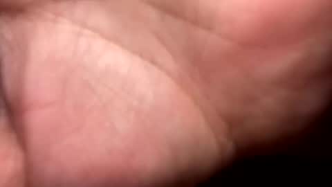 shawn online show from December 16, 9:20 pm