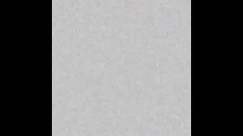 Mr Suction online show from December 5, 12:47 pm