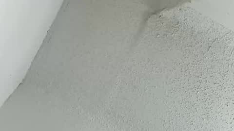 melissa online show from March 11, 12:16 am