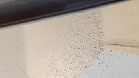 melissa online show from March 14, 8:58 pm