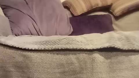 mtx9889 online show from October 27, 10:47 pm