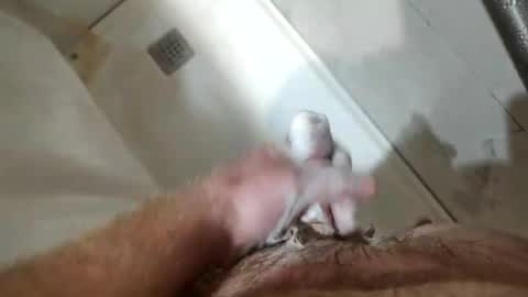 Snapshot of mugglesmuggler chatting on March 20, 10:42 am mugglesmuggler online show from March 20, 10:42 am