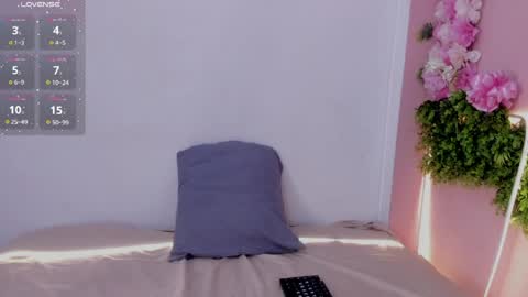 Mulan online show from April 28, 1:16 pm