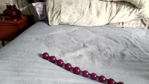 Laly online show from November 24, 8:36 am