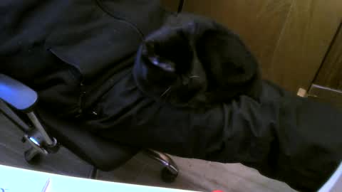 muller520 online show from January 21, 9:57 am