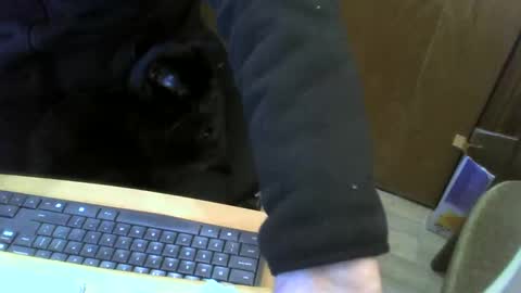 muller520 online show from January 22, 4:02 pm