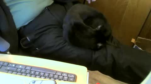 muller520 online show from January 22, 7:03 pm