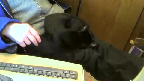 muller520 online show from February 11, 4:46 pm