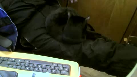 muller520 online show from February 12, 4:55 pm