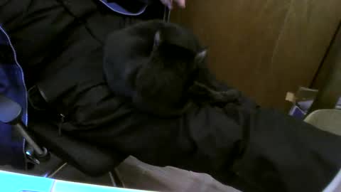 muller520 online show from February 26, 3:41 pm