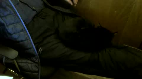 muller520 online show from November 18, 3:49 pm