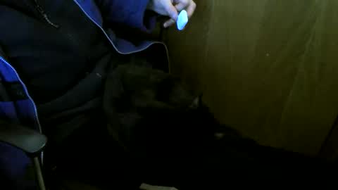 muller520 online show from January 8, 4:31 pm