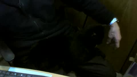 muller520 online show from February 10, 4:44 pm