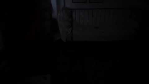 musclehair3 online show from November 18, 9:30 pm