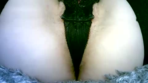 Snapshot of my_tightholes chatting on February 2, 6:50 pm my_tightholes online show from February 2, 6:50 pm