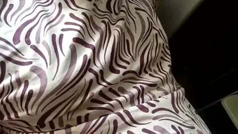 Snapshot of mysolo198777 chatting on January 16, 9:02 am Mysolo1987 online show from January 16, 9:02 am