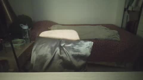 Snapshot of mysteriousbaby18 chatting on February 2, 11:36 pm Demi online show from February 2, 11:36 pm