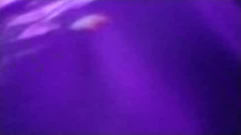 n298033 online show from September 23, 5:05 pm