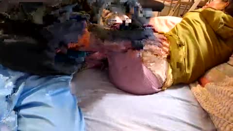 n55emo online show from February 4, 6:47 pm