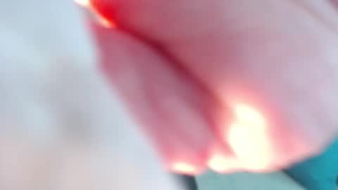 NadiaFemDom online show from January 22, 1:53 pm