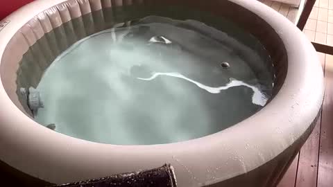 Sexyhotpapa online show from December 2, 11:12 am