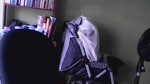 Snapshot of nana_666_ chatting on November 17, 9:20 pm nana_666_ online show from November 17, 9:20 pm