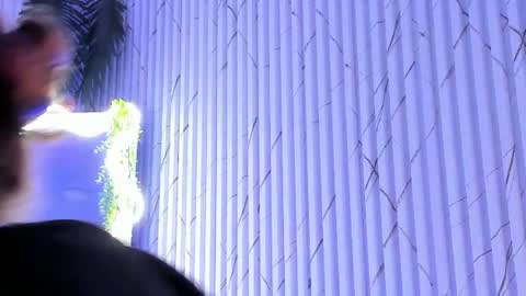 Naomy  online show from June 18, 4:46 am