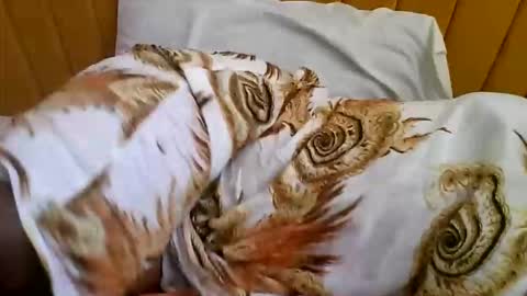 Sweet Ella online show from October 9, 7:17 am