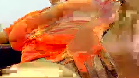 natasha_klaus1 online show from October 23, 2:44 am