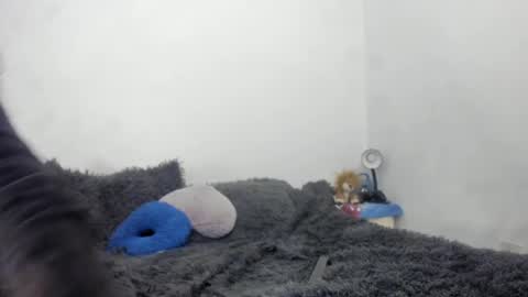 Nathaly online show from September 15, 6:19 pm