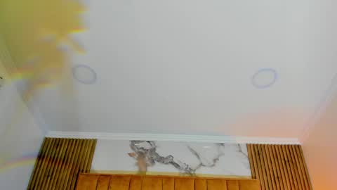 Kitten online show from May 8, 11:04 am
